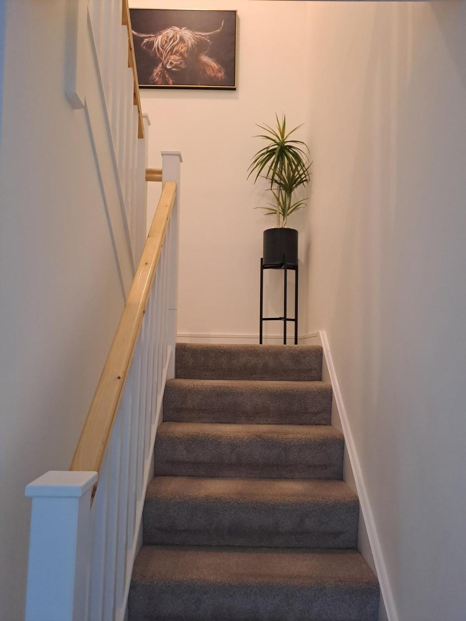 Cozy Bedroom In Lucan, Dublin Exterior photo
